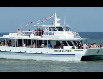 Rudee Dolphin Tour